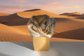 Ecological Print Silk Foulard