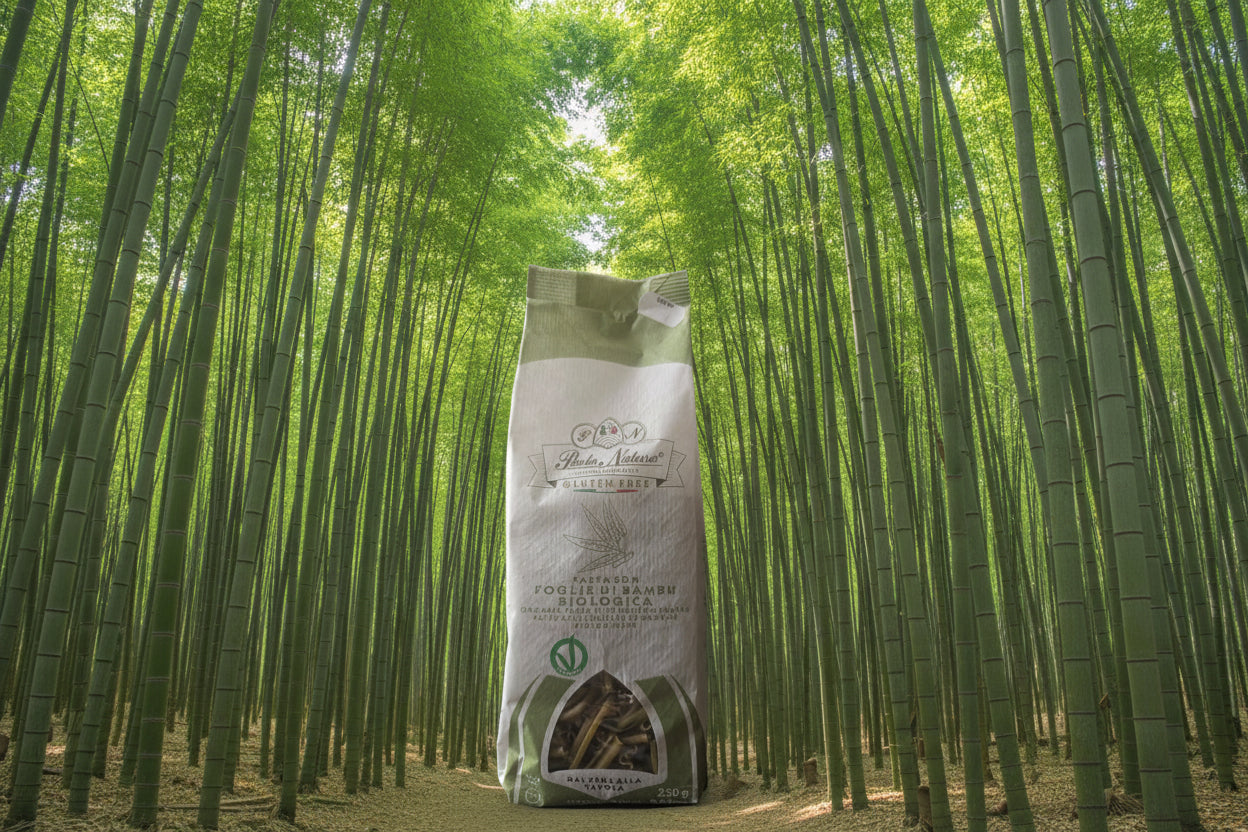 Organic Gluten-Free Pasta Bambou