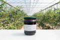 Organic Blueberry Preserve
